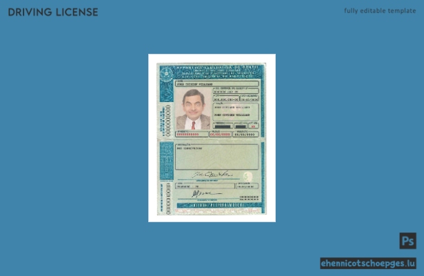 Brasilien Detran-Pe, Pernambuco – Beispielansicht des Führerscheins